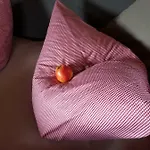 Holzmichel *