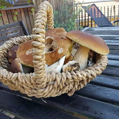 Holzmichel Apartmán Friedrichroda