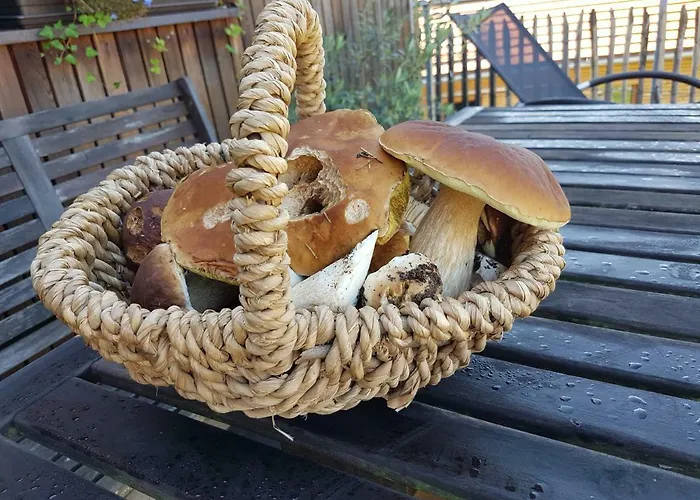 Holzmichel Apartmán Friedrichroda